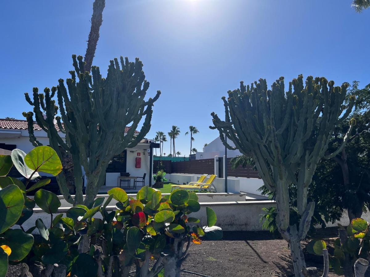 Escarabajo Bungalow il Maggiolino Maspalomas  Esterno foto